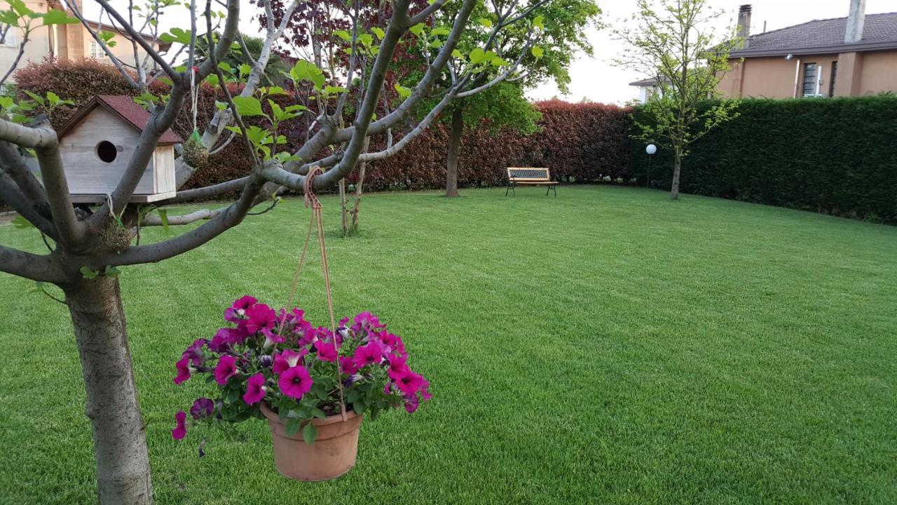 Il Farfasole Bed & Breakfast Vigonovo  Ngoại thất bức ảnh