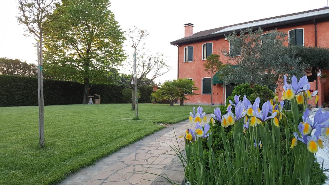 Il Farfasole Bed & Breakfast Vigonovo  Ngoại thất bức ảnh