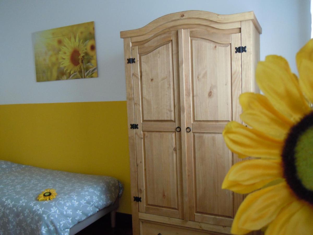 Il Farfasole Bed & Breakfast Vigonovo  Ngoại thất bức ảnh