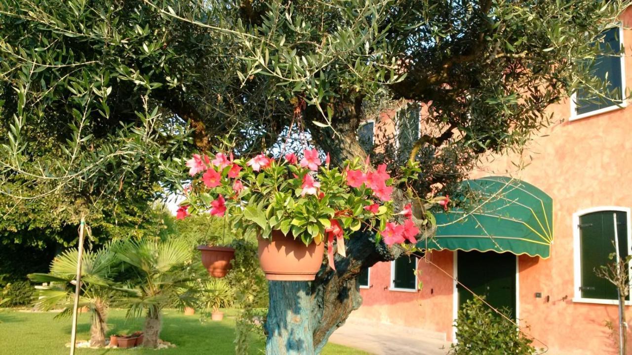 Il Farfasole Bed & Breakfast Vigonovo  Ngoại thất bức ảnh
