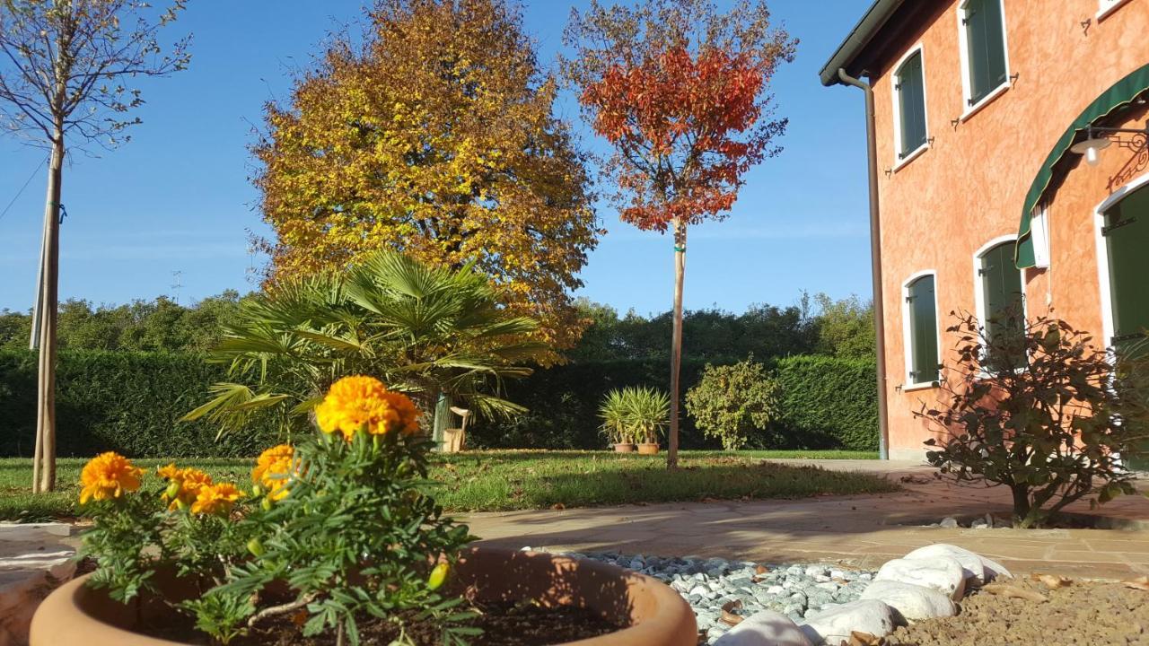 Il Farfasole Bed & Breakfast Vigonovo  Ngoại thất bức ảnh